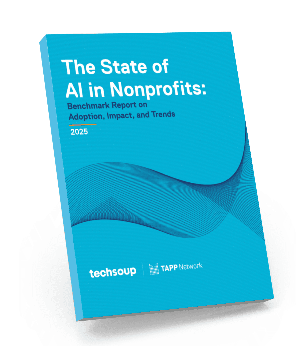 TechSoup State of AI in Nonprofits 2025 Benchmark Report